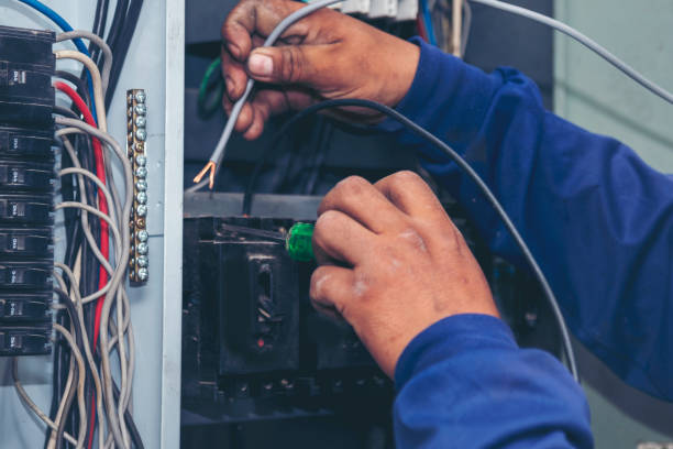 Best Electric Panel Repair  in Nicholls, GA