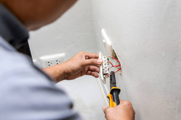 Best Electrical Repair Services  in Nicholls, GA