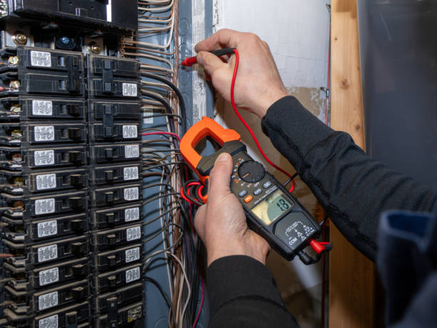 Best Home Electrical Repair  in Nicholls, GA